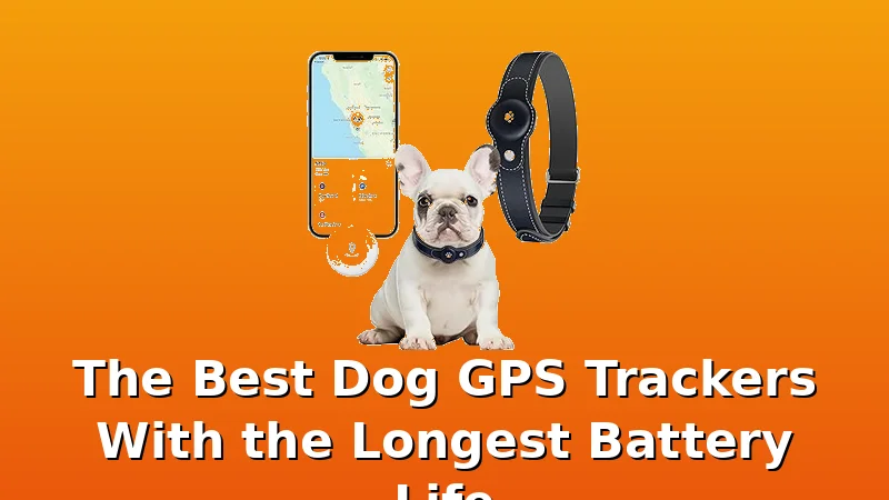The Best Dog GPS Trackers With the Longest Battery Life - BestDogGPSTracker review with measurements and honest opinion