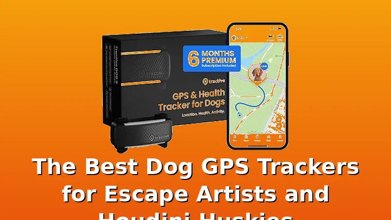 The Best Dog GPS Trackers for Escape Artists and Houdini Huskies - BestDogGPSTracker review with measurements and honest opinion