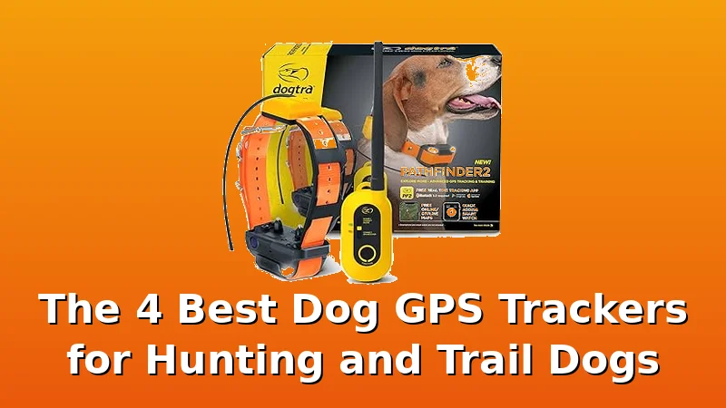 The 4 Best Dog GPS Trackers for Hunting and Trail Dogs - BestDogGPSTracker review with measurements and honest opinion