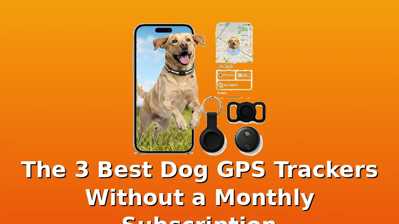 The 3 Best Dog GPS Trackers Without a Monthly Subscription - BestDogGPSTracker review with measurements and honest opinion