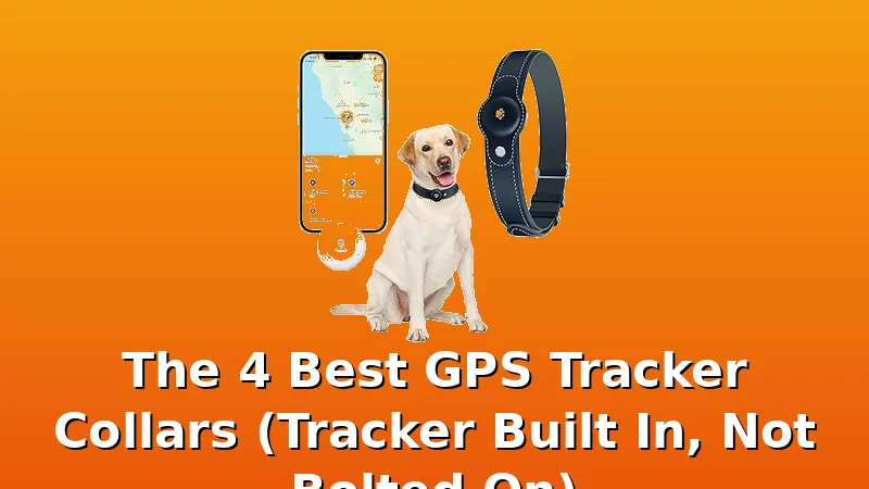 The 4 Best GPS Tracker Collars (Tracker Built In, Not Bolted On) - BestDogGPSTracker review with measurements and honest opinion