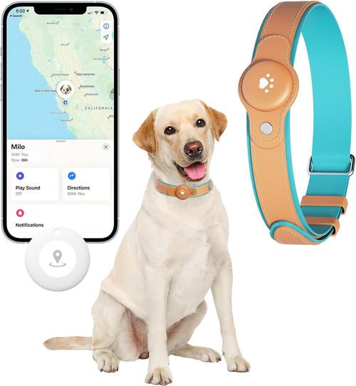 Smart Pet Collar GPS Tracker for Dogs with Real-Time Tracking, No Monthly Fee, Waterproof, 365-Day Battery